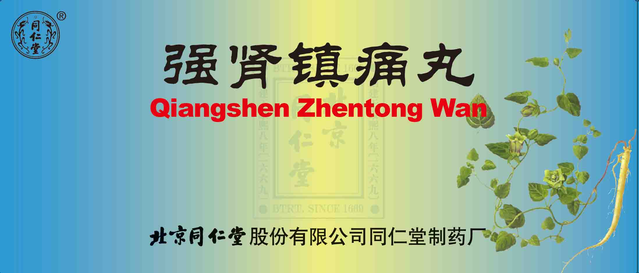 强肾镇痛丸